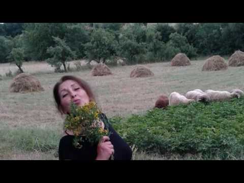 Boban Milosevic - Follow Me