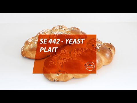 Handtmann SE 442 - Yeast plait with raisins