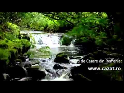 Cazare Alunisu, Ilfov - Cazat.ro