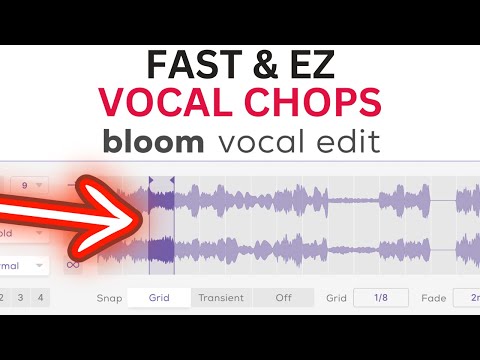 VOCAL CHOPS FAST & EZ - Bloom Vocal Edit VST, AU, AAX, Standalone 250 Vocal Chop Presets