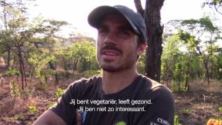 TEASER 1: ‘Expedition Mozambique’ - Sweat bees
