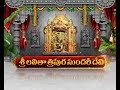 Navaratri Celebration Goddess Durga Worshiped As Lalitha Tripura Sundari Devi Indrakeeladri
