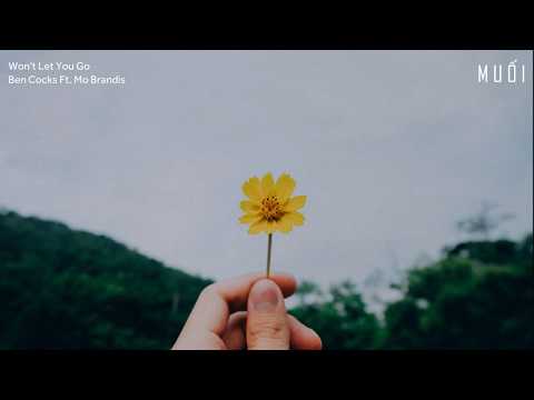 Won't Let You Go - Ben Cocks Ft. Mo Brandis [Vietsub + Lyrics]