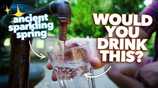 [問卦] 臺灣氣泡水為什麼這麼貴？