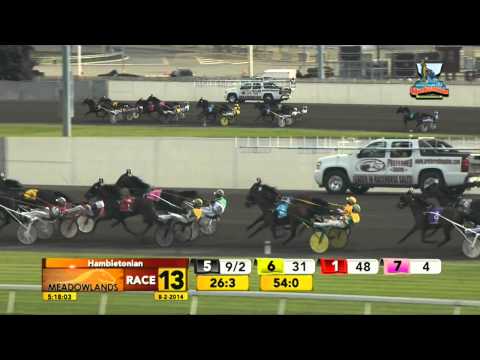 89th Hambletonian - Trixton - August 2, 2014