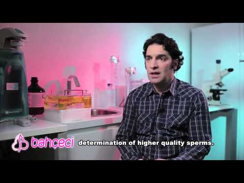 What may be concerned further to sophisticate embryo quality in recurrent in vitro fertilization failures?