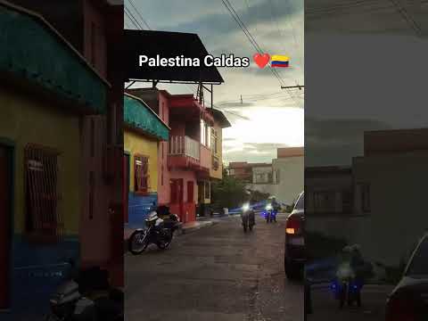 Palestina Caldas ❤️🇨🇴🎄 #colombia #diciembre2025 #navidad