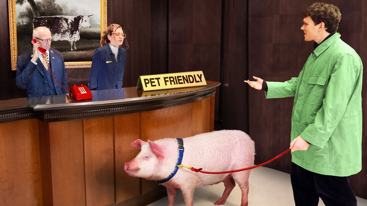 Which Motels Are Pet Friendly Tipseri which-motels-are-pet-friendly-tipseri