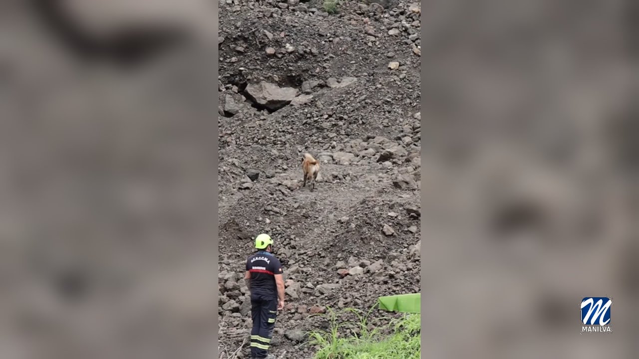 Condecorados varios miembros del GERCCMA