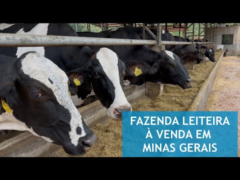 FAZENDA LEITEIRA EM MINAS GERAIS À VENDA