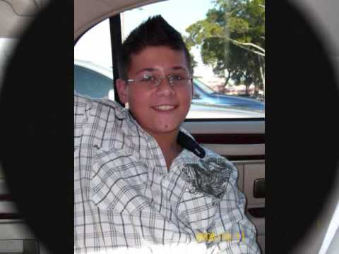 AMER CENGIC - DJEVOJKA SA POLJA ZELENIH