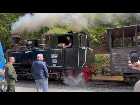 Mocanita Maramures Train Ride