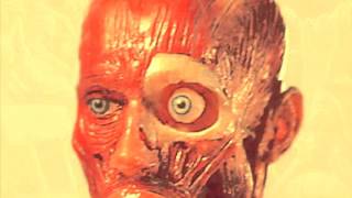 The Valley of Dry Bones  (Fulfillment of this Prophecy)