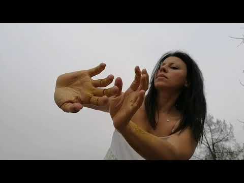 1.61 GOlden sectiON - 1 video. 61 artists | 52. Chiara Serafini