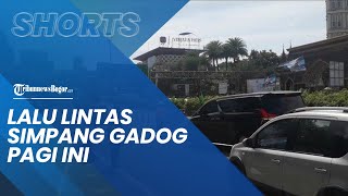 Bogor Hari Ini: Lalu Lintas Ramai Lancar, Puluhan Kendaraan Terjaring Ganjil Genap di Simpang Gadog