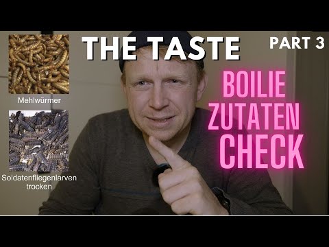 The Taste - Folge 3  - Was Karpfen wollen - Boilie | Zutaten | Check