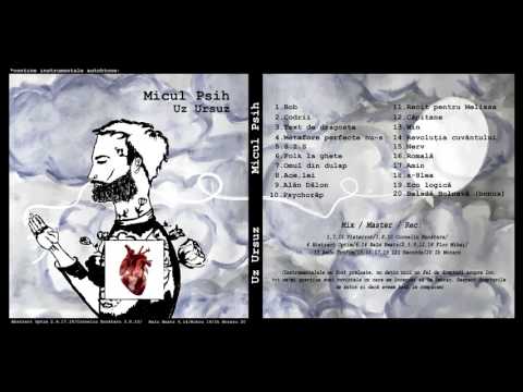 08. Micul Psih - Ace, lei (Uz Ursuz 2015)