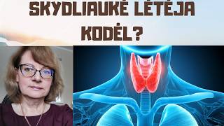 Skydliaukė ir hipotirozė: kas vyksta organizme?
