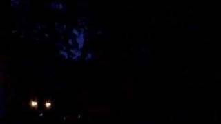 Rebecca Loebe at Palate (&quot;Lay Me Down Lowly&quot; by Al Loebe)