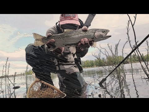 Un video corto de pesca, como tantos otros...    LIMAY INFERIOR - Neuquén Senillosa. 