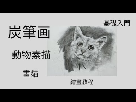 炭筆画 動物素描 畫貓 基礎入門 素描教學 貓 繪畫教程