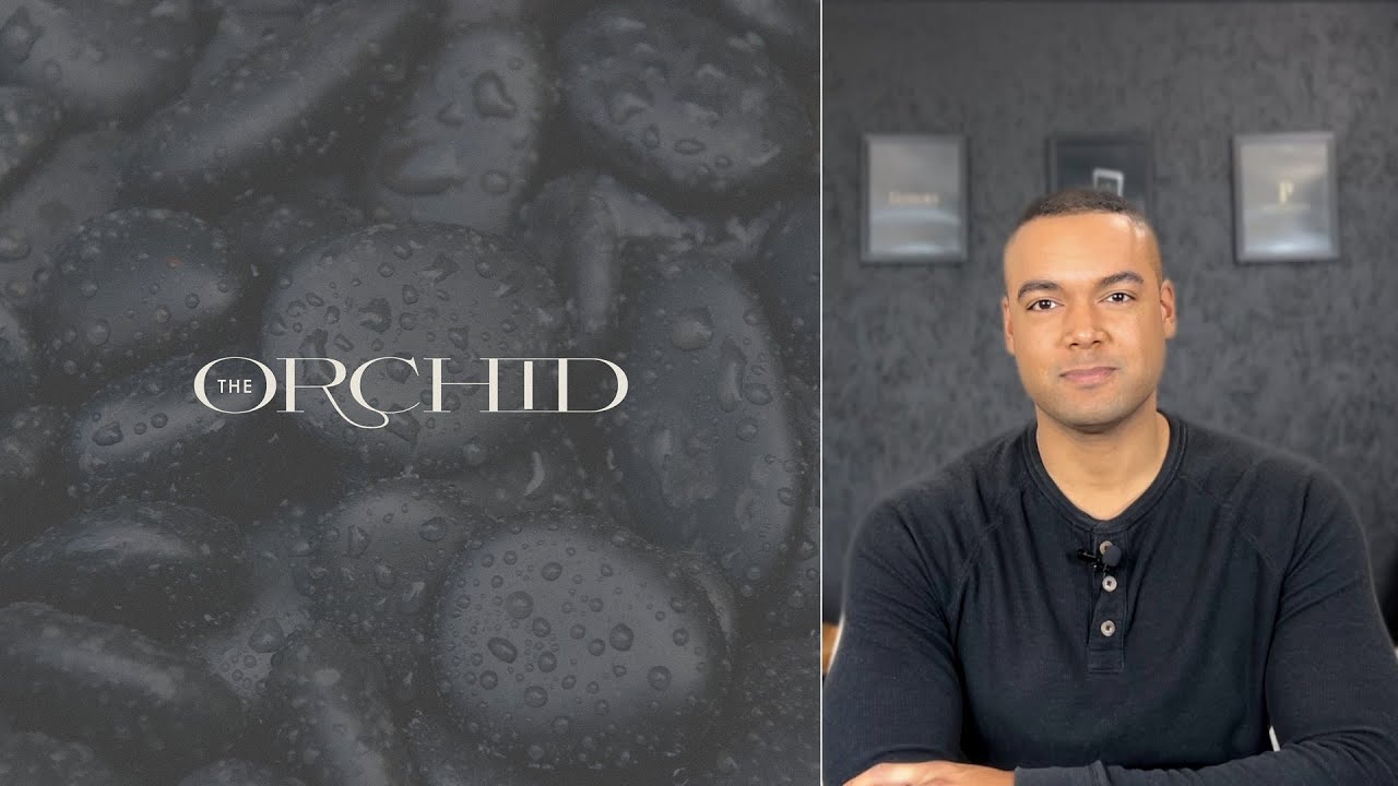 Create a Minimalist Wordmark Logo: Combining Serifs + Ligatures - (Step by Step)