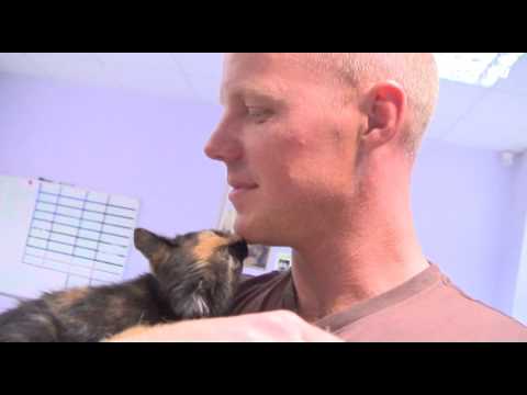 Ķepa uz sirds. Ciemos ar Mārtiņu Rubeni