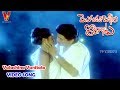 వలచిన వనితతో వీడియో సాంగ్ మొగుడు పెళ�