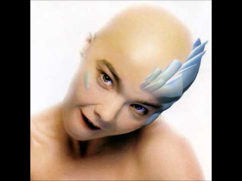 Björk - Hunter (State of Bengal Mix)