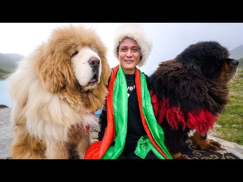 4,500 Meter VILLAGE FOOD - Heavenly Yamdrok Lake, Tibet!