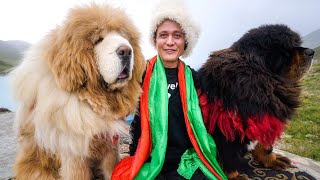 4,500 Meter VILLAGE FOOD - Heavenly Yamdrok Lake, Tibet! - YouTube