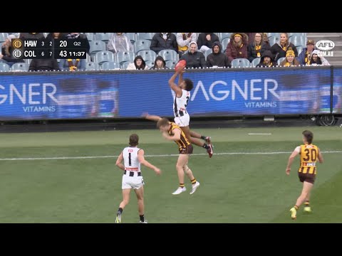 Round 12 Four'N Twenty Mark of the Year Winner | AFL
