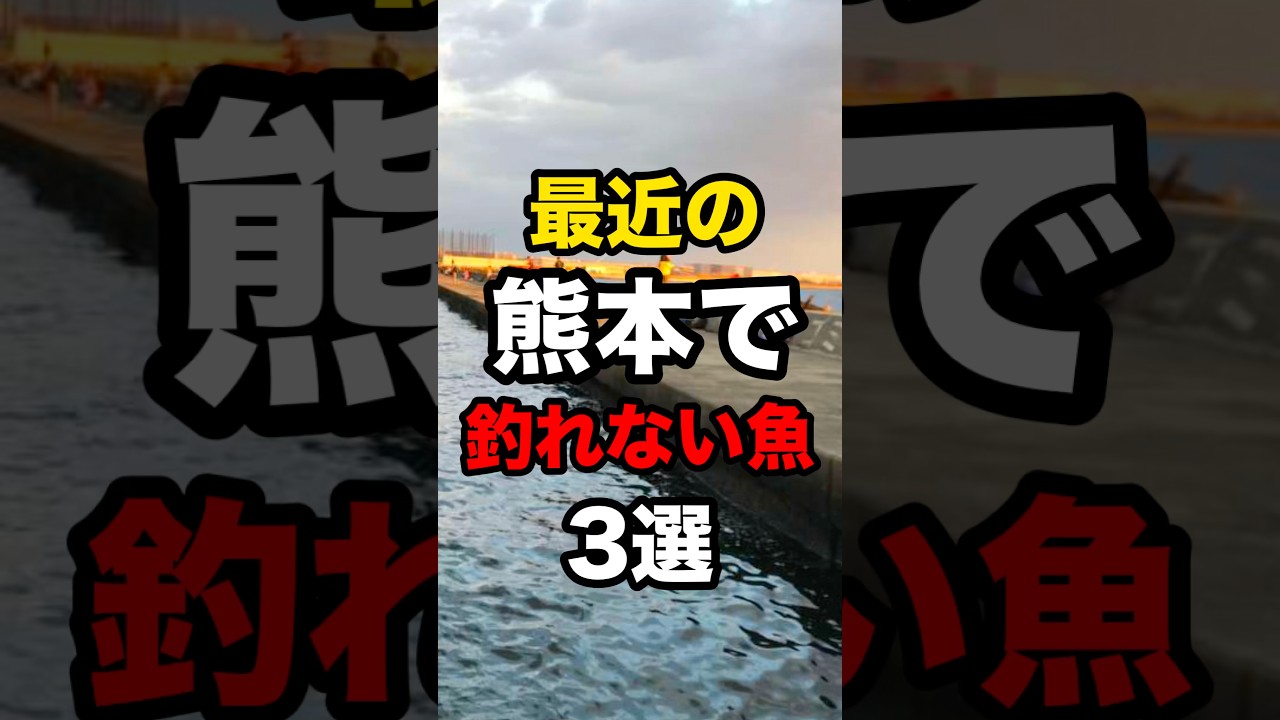 最近の熊本で釣れていない魚3選#釣り #shorts