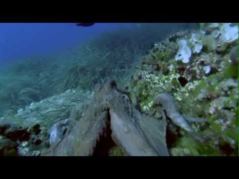 Kroatien: Herbstanfang an der Adria