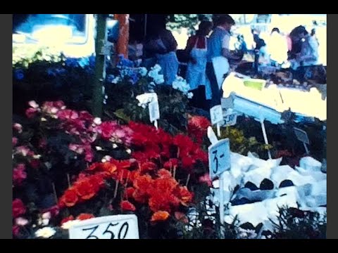 🇩🇪[super8] 1980s Gross Flottbek - Hamburg, Germany