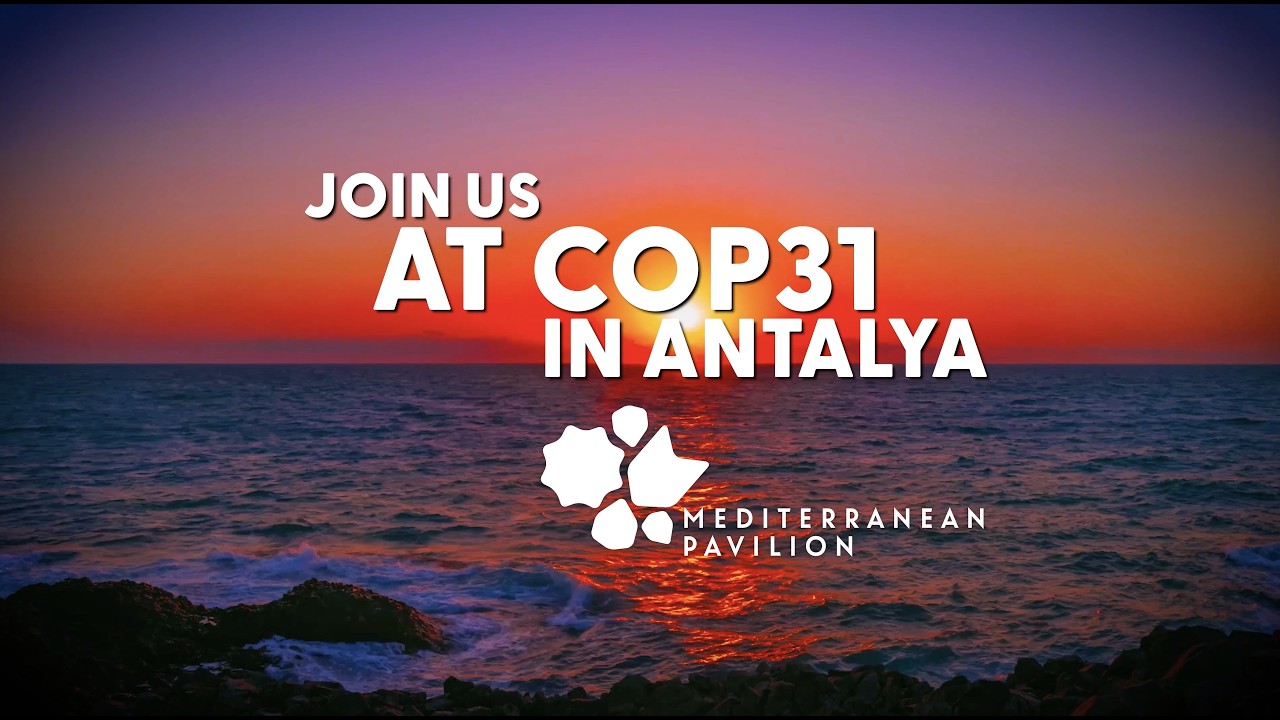The Mediterranean Pavilionat COP31