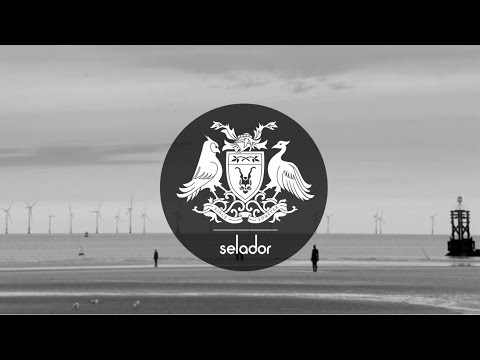 Several Definitions & Marc DePulse - Birds (JOBE Remix)[Selador]