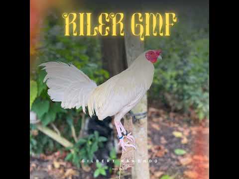 RILER GMF - ( DAPA TINA 2 ) Gilbert Kakondo ft. VJ'Loppo - Lucky ambalao