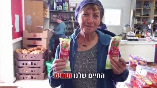 החיים שלנו תותים