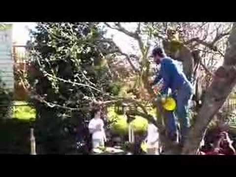 Disc Golf: Team Opti-Grab, Vol. 1