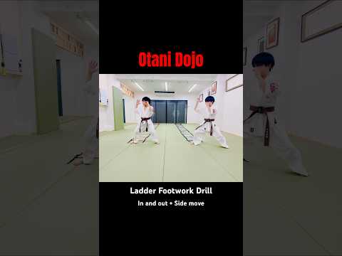 前後 + 横移動 – ラダーフットワーク・ドリル#大谷道場#kyokushin#karate #footwork#ladderdrills#shorts