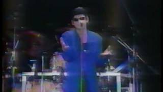 望郷　ZIGZAG  ライブ