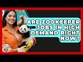 Are Zookeeper Jobs in High Demand Right Now? | Animal Care Jobs