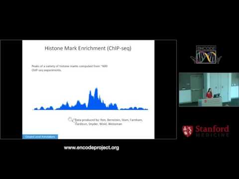 The ENCODE Encyclopedia - Zhiping Weng