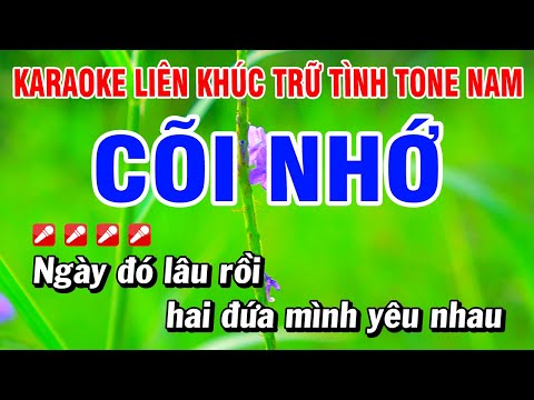 Karaoke Liên Khúc Trữ Tình Tone Nam Nhạc Sống Dễ Hát - Cõi Nhớ | Hoài Phong Organ