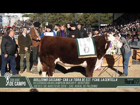Guillermo Cassano - Cabaña La Tigra - Reservado Gran Campeón. P. Hereford - Palermo 2019
