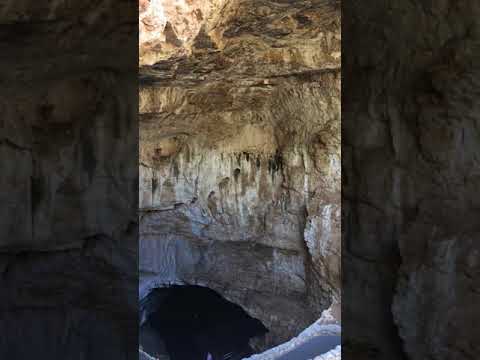 The Cave Swallows and their dance by the cave entrance.  The bats will fill this space at sunrise and sunset. --Carlsbad Caverns National Monument