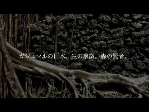ガンガラーの谷　公式ＰＶ
