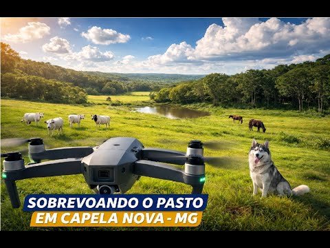 SOBREVOANDO O PASTO EM CAPELA NOVA – MG