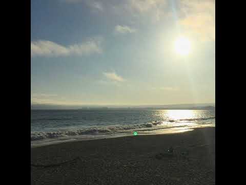 Niko Smith - Gray Rain (Official Audio)